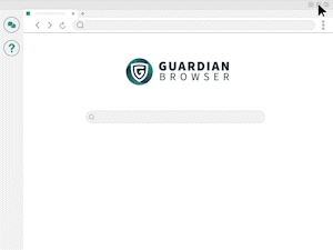 Multiple Browser Example Gif